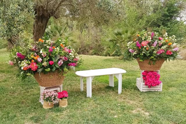 Martorell Flors i Plantes