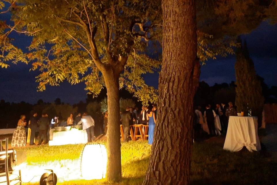 Celebración en el jardín