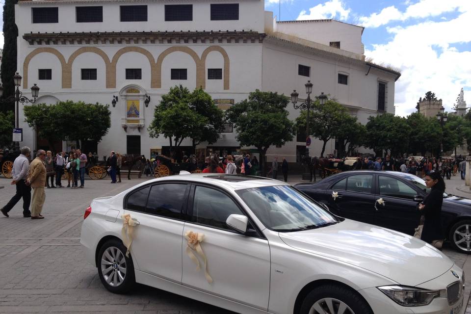 Coche en la catedral