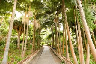 El jardín de la Marquesa