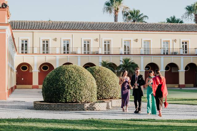 Bodas montenmedio