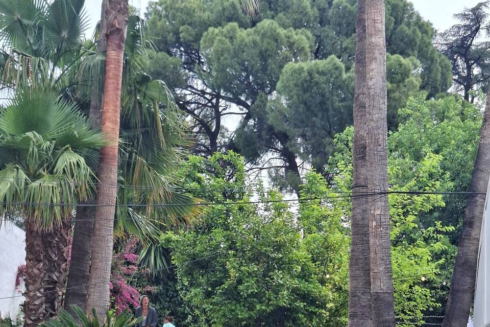 Jardines de Sansueña