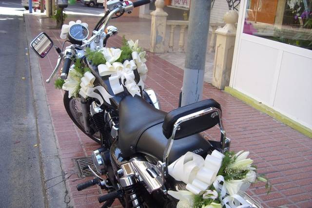 Moto decorada
