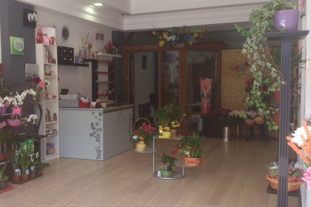 Tienda