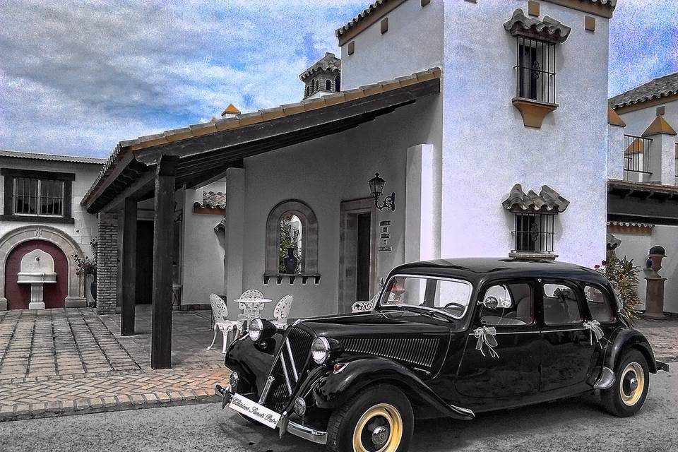 Elegancia para tu boda