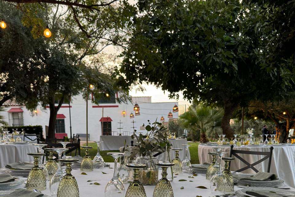 Hacienda Molino Blanco