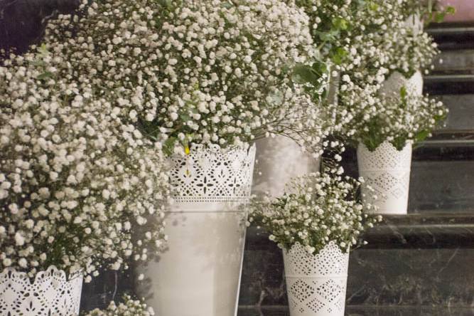 Decoración con Gypsophilia