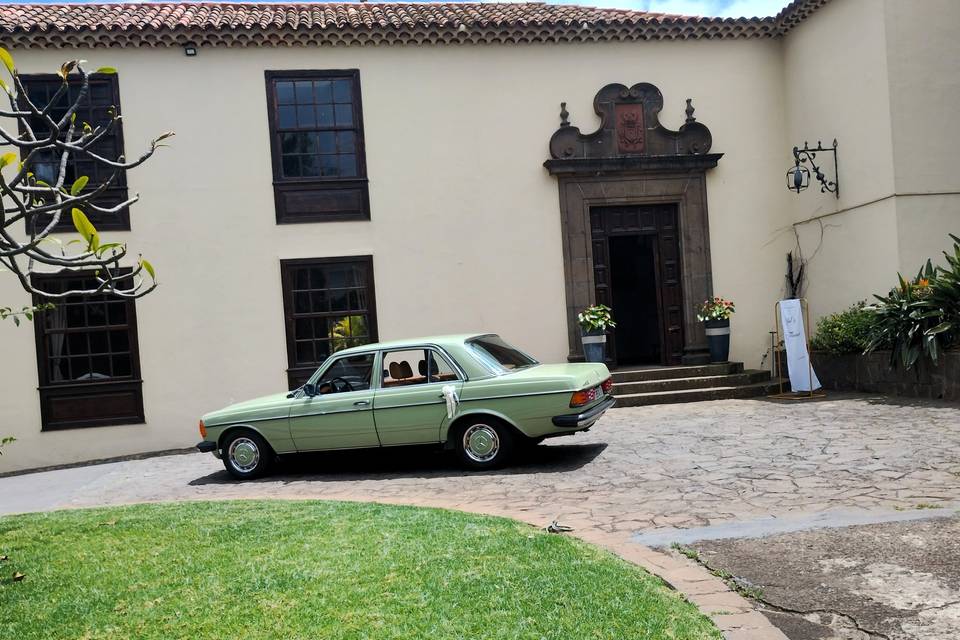 Candelaria - Finca MacKai 4/26