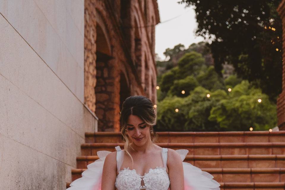 Alas de fantasia