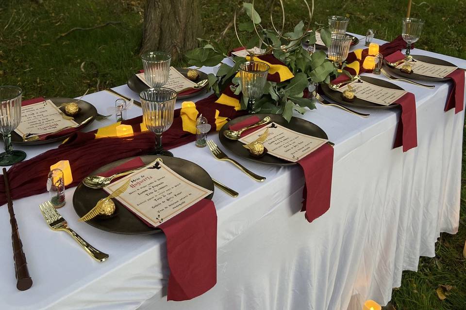 Bodas temáticas