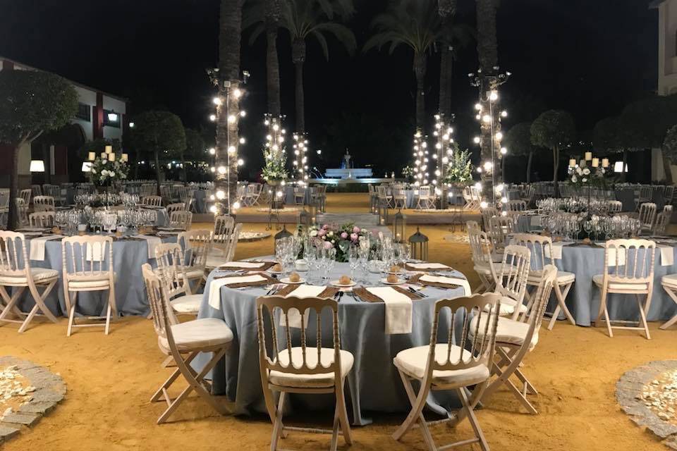 Terraza palmeras