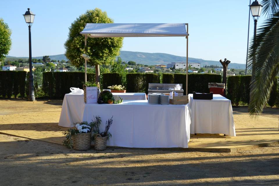 Boda dehesa del colmenar