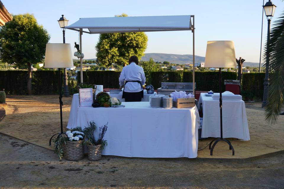 Boda dehesa del colmenar