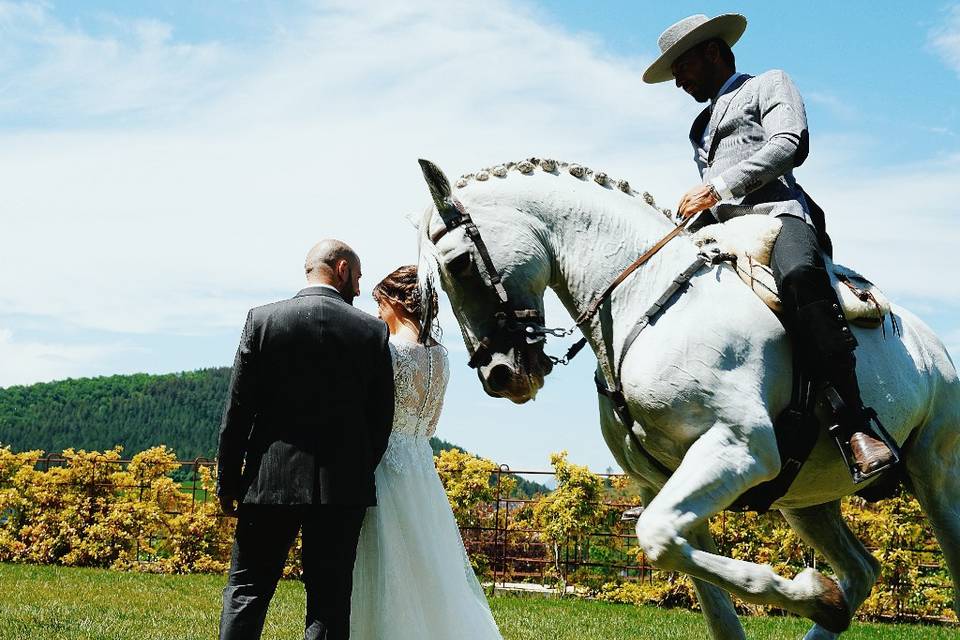 Boda Chris delgado