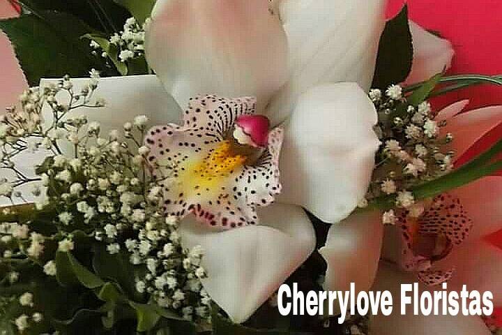 Cherrylove floristas