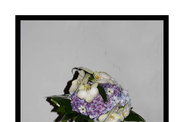 Ramo hortensia