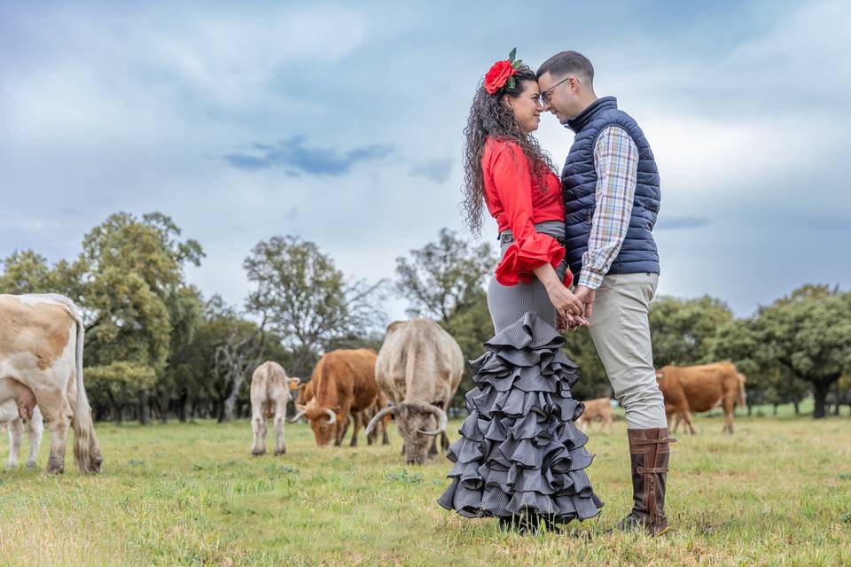 Pre boda