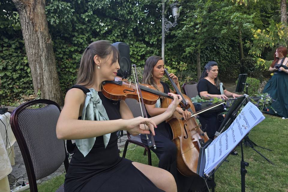 Trío violín, chelo y piano