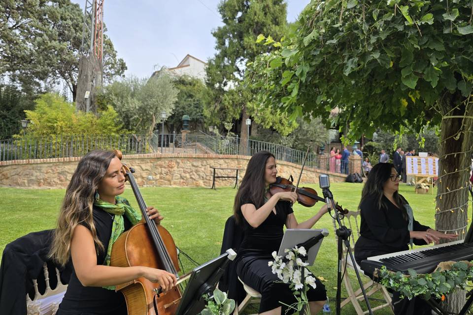 Trío violín, chelo y piano