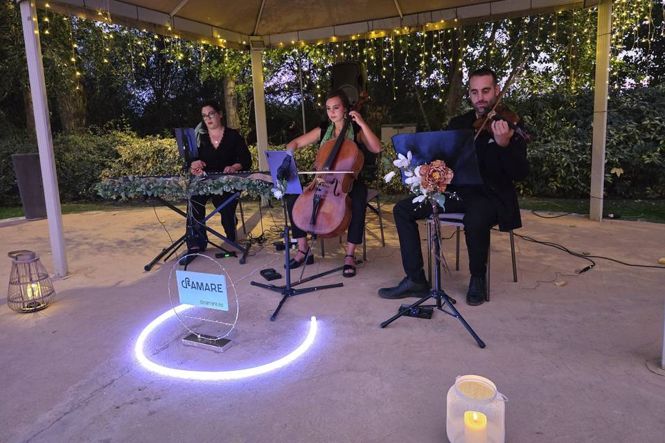 Trío de violín, chelo y piano