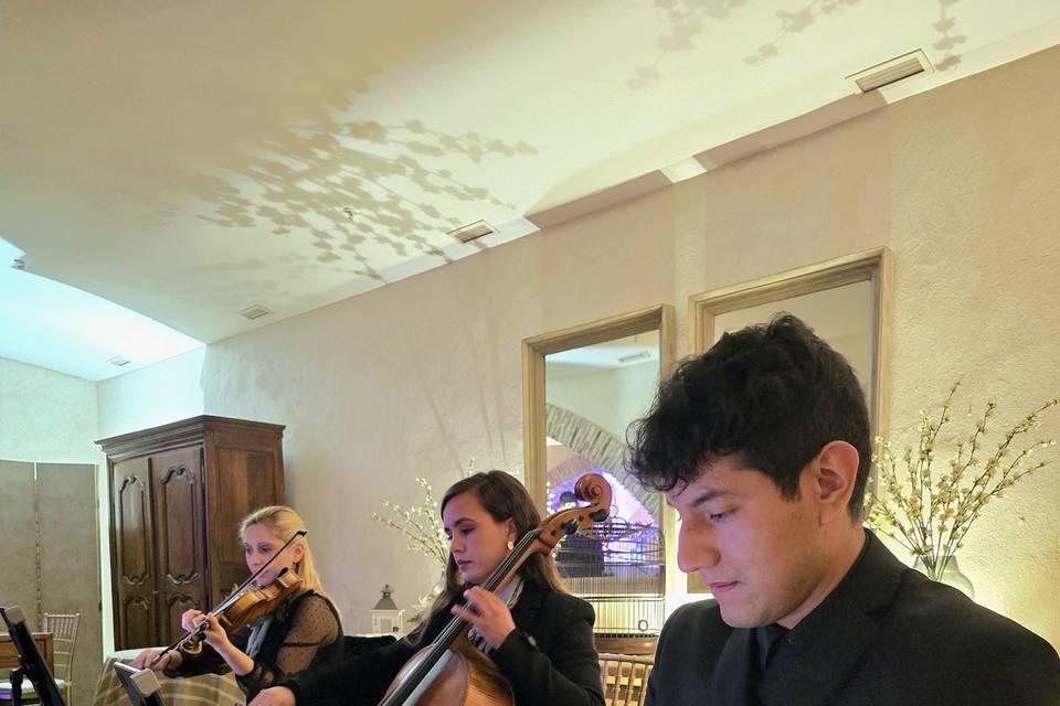 Trío de violín, chelo y piano
