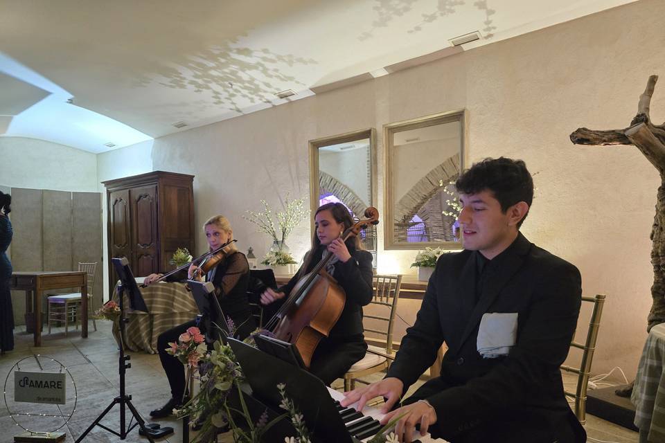 Trío de violín, chelo y piano