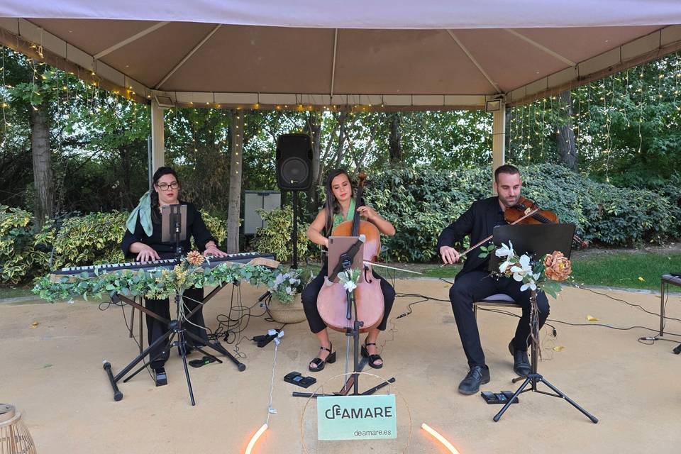 Trío de violín, chelo y piano