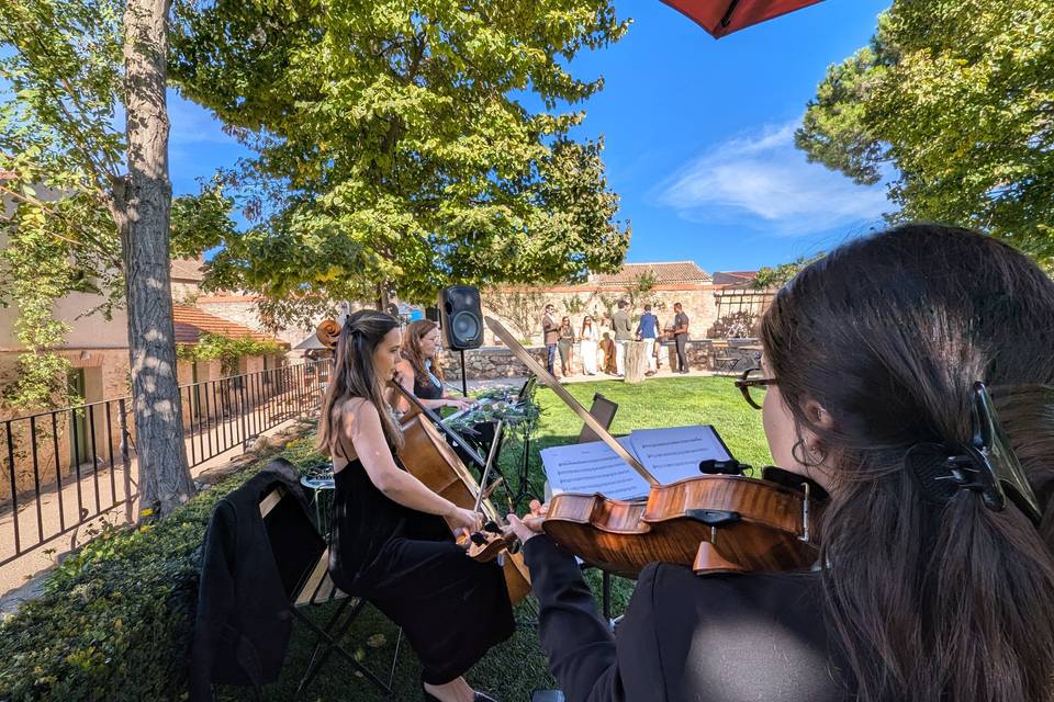 Trío violín, chelo y piano