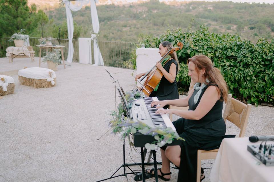 Música en vivo para bodas