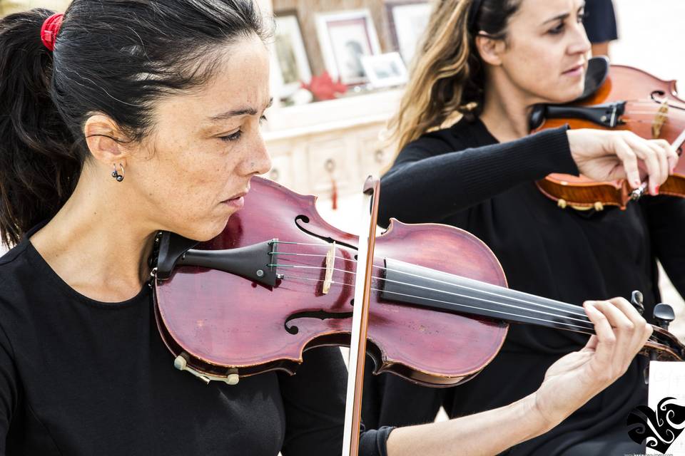 Ambientación musical