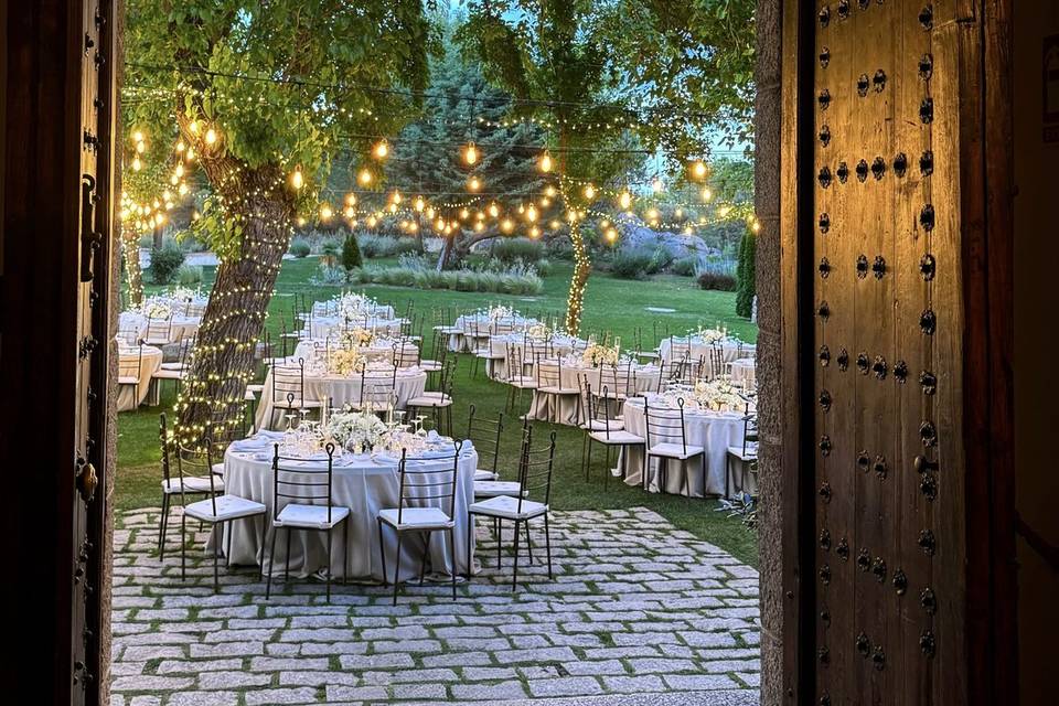 Fly Up! Wedding Planners