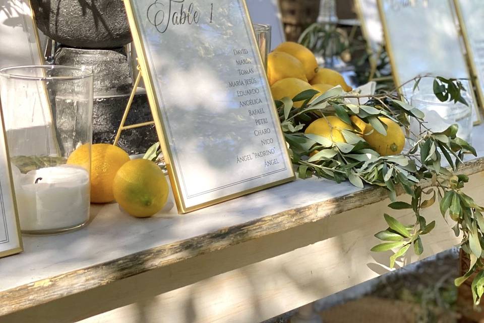 Fly Up! Wedding Planners