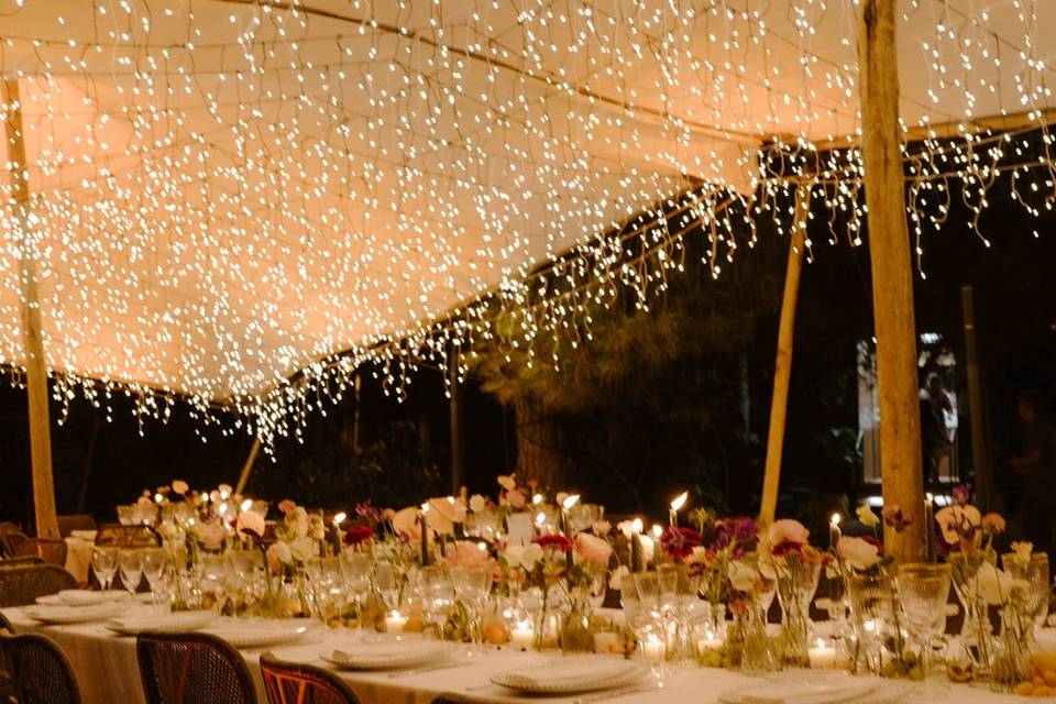 Fly Up! Wedding Planners
