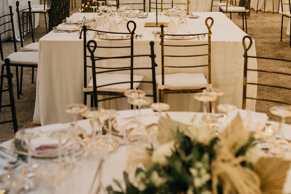 Fly Up! Wedding Planners
