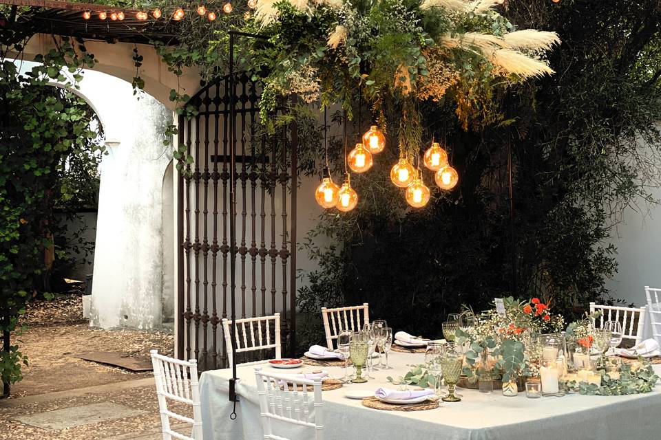 Fly Up! Wedding Planners