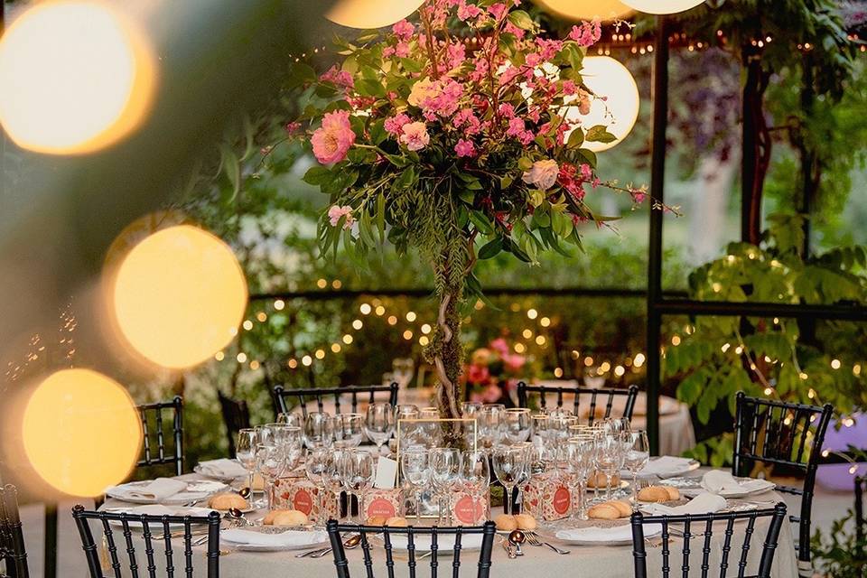Fly Up! Wedding Planners