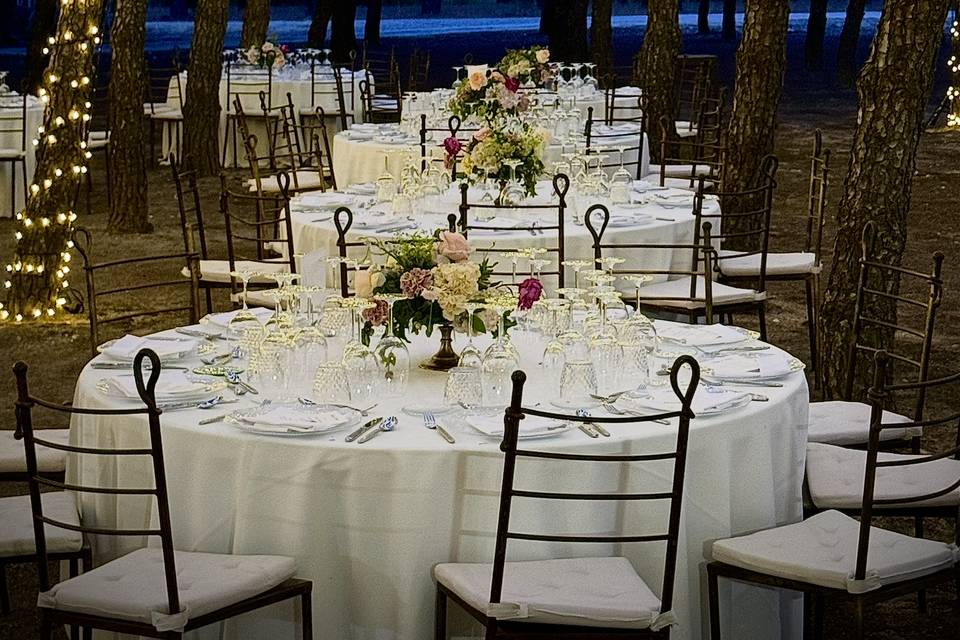 Fly Up! Wedding Planners