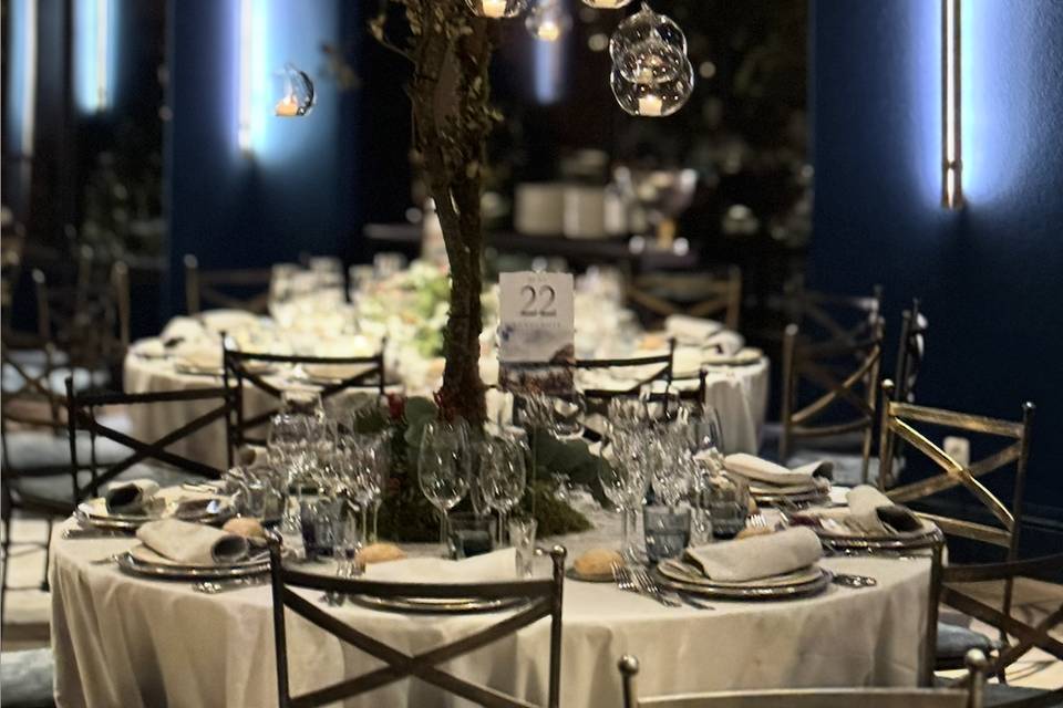 Fly Up! Wedding Planners