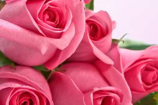 Bouquet de rosas para novia