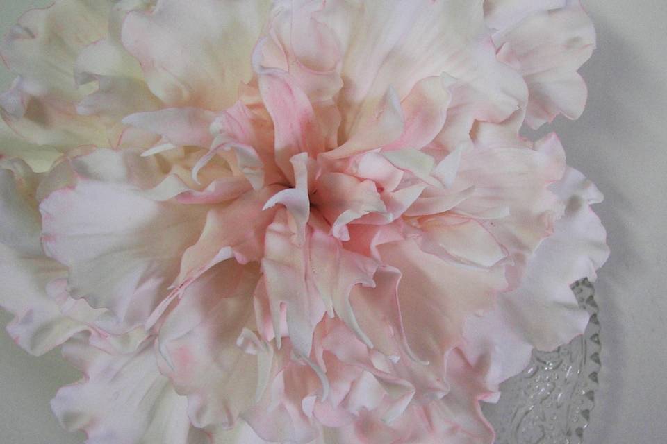 Fringed peony para tartas