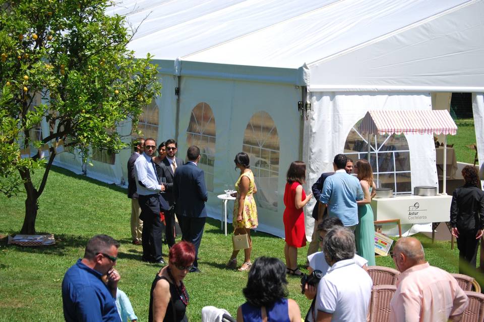 Celebración en el jardín