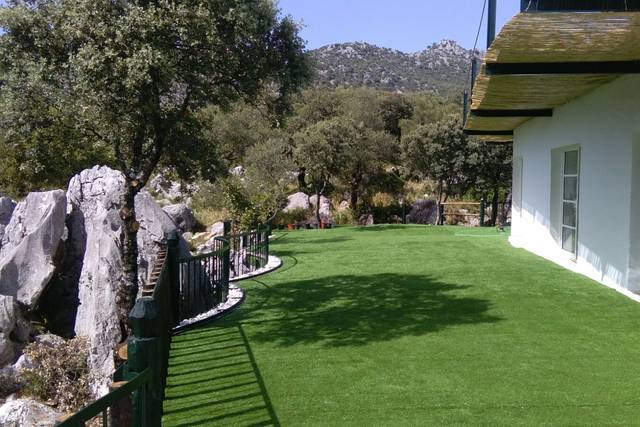 Terraza