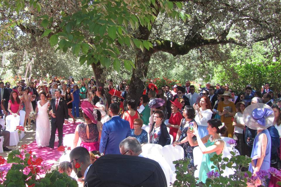 Boda de irene y carlos