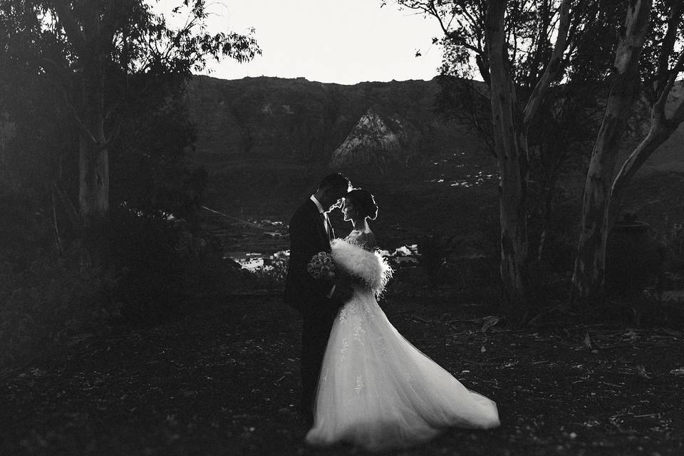 Fotografía de bodas