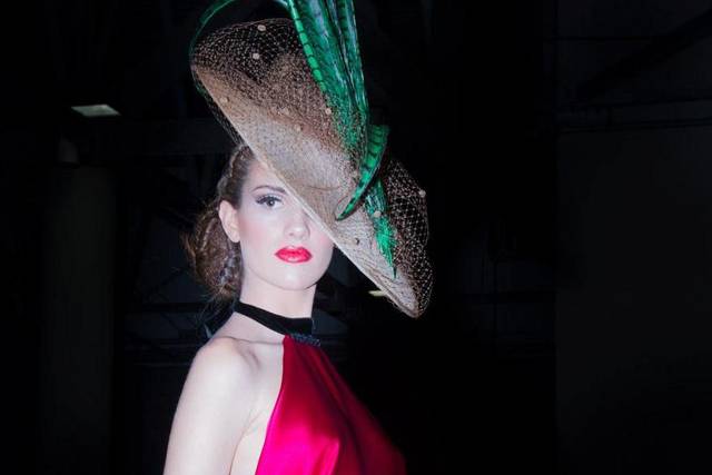 Ala rígida con plumas