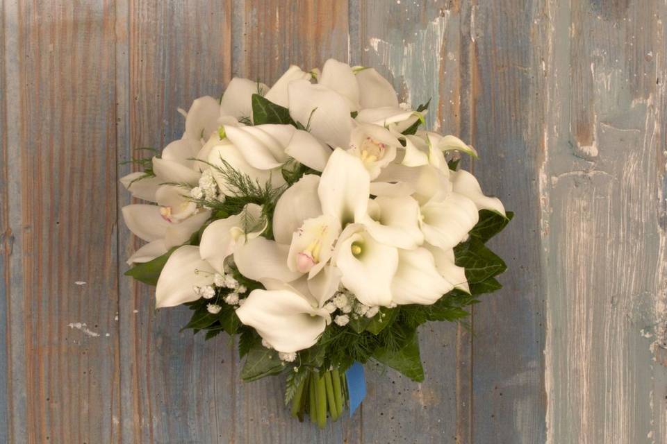 Anna Abellà Floristes