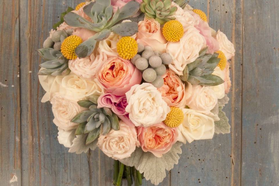 Anna Abellà Floristes