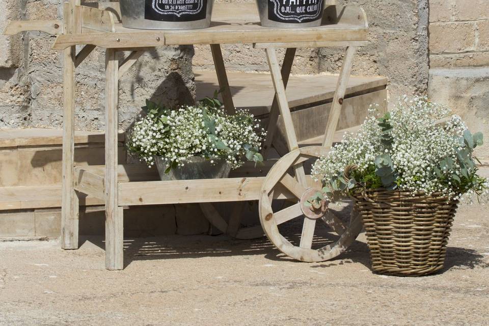 Anna Abellà Floristes