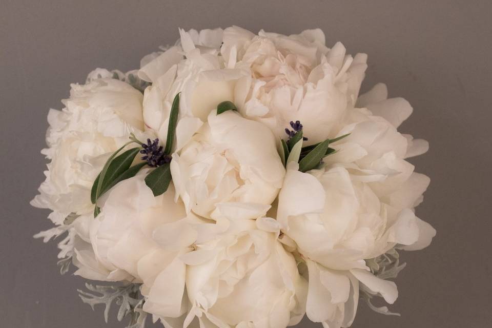 Anna Abellà Floristes