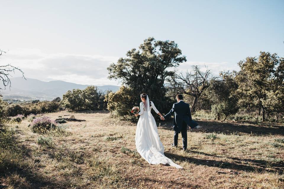 Bodas 2018